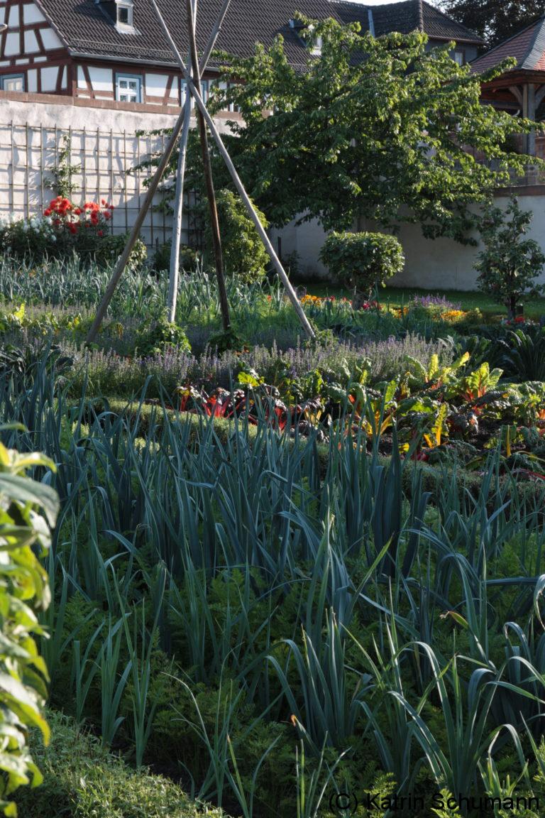 Mein Traum vom Küchengarten Mein Garten der vier Jahreszeiten