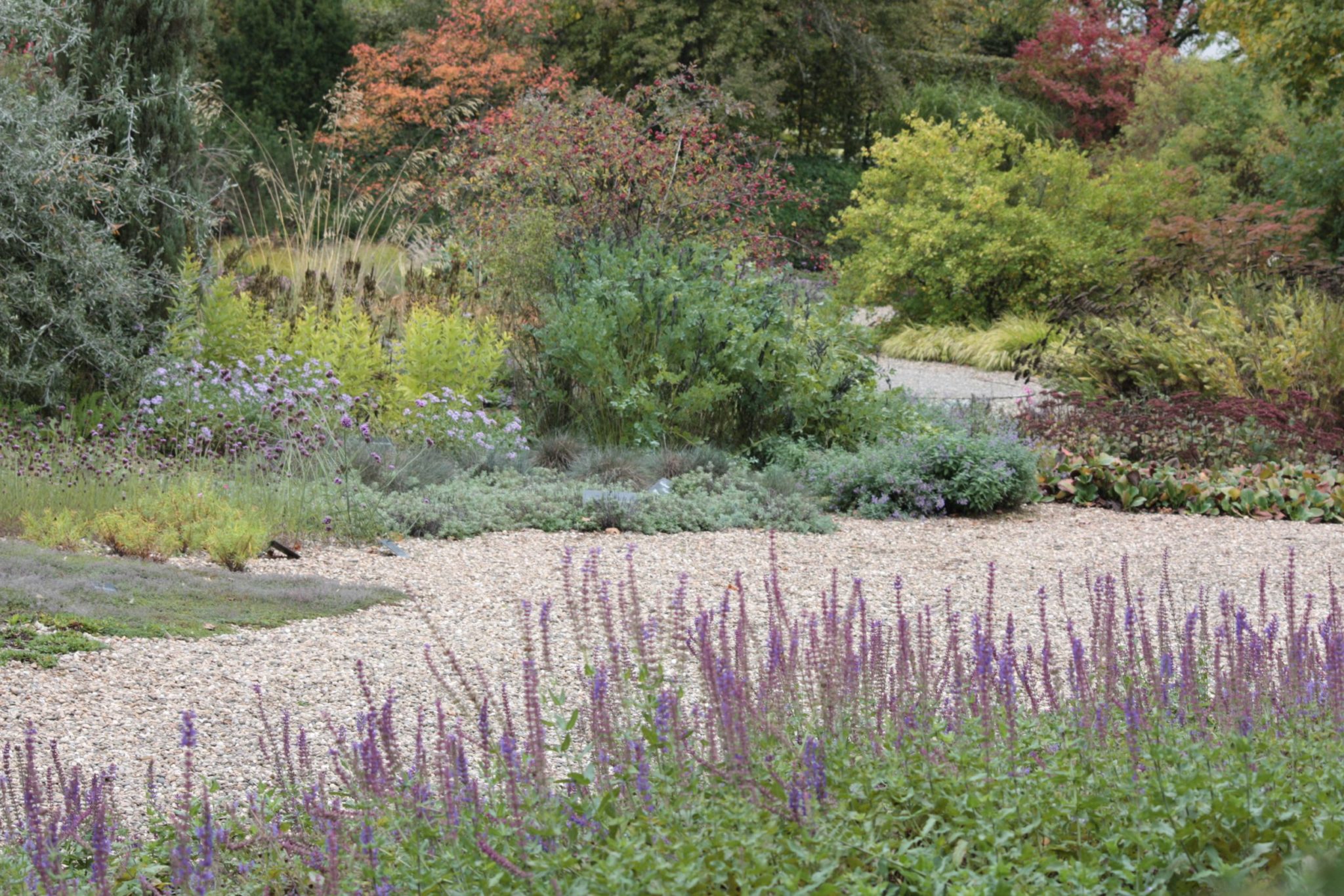 Gartenplanung Mein Garten der vier Jahreszeiten
