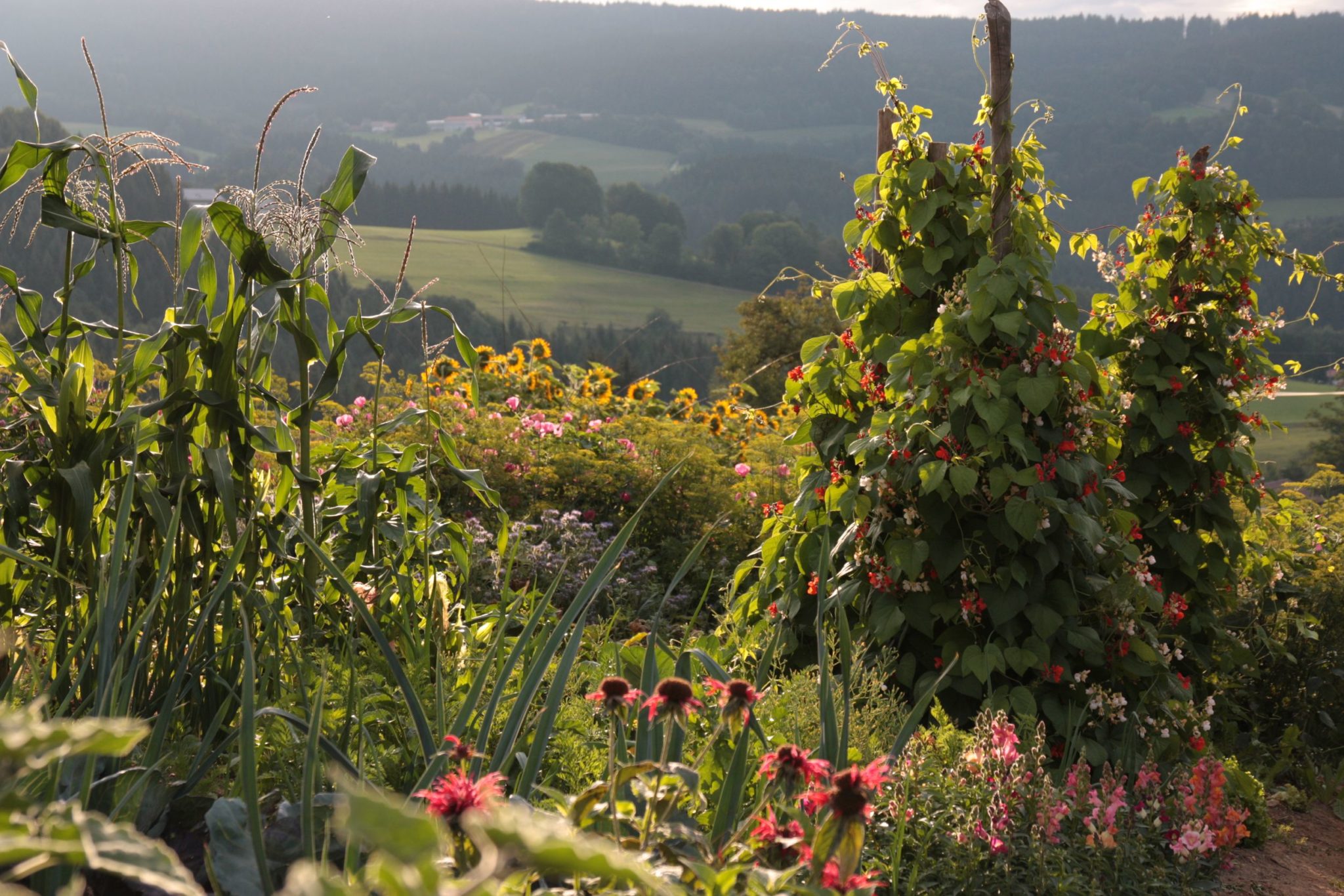 Mein Traum vom Küchengarten Mein Garten der vier Jahreszeiten