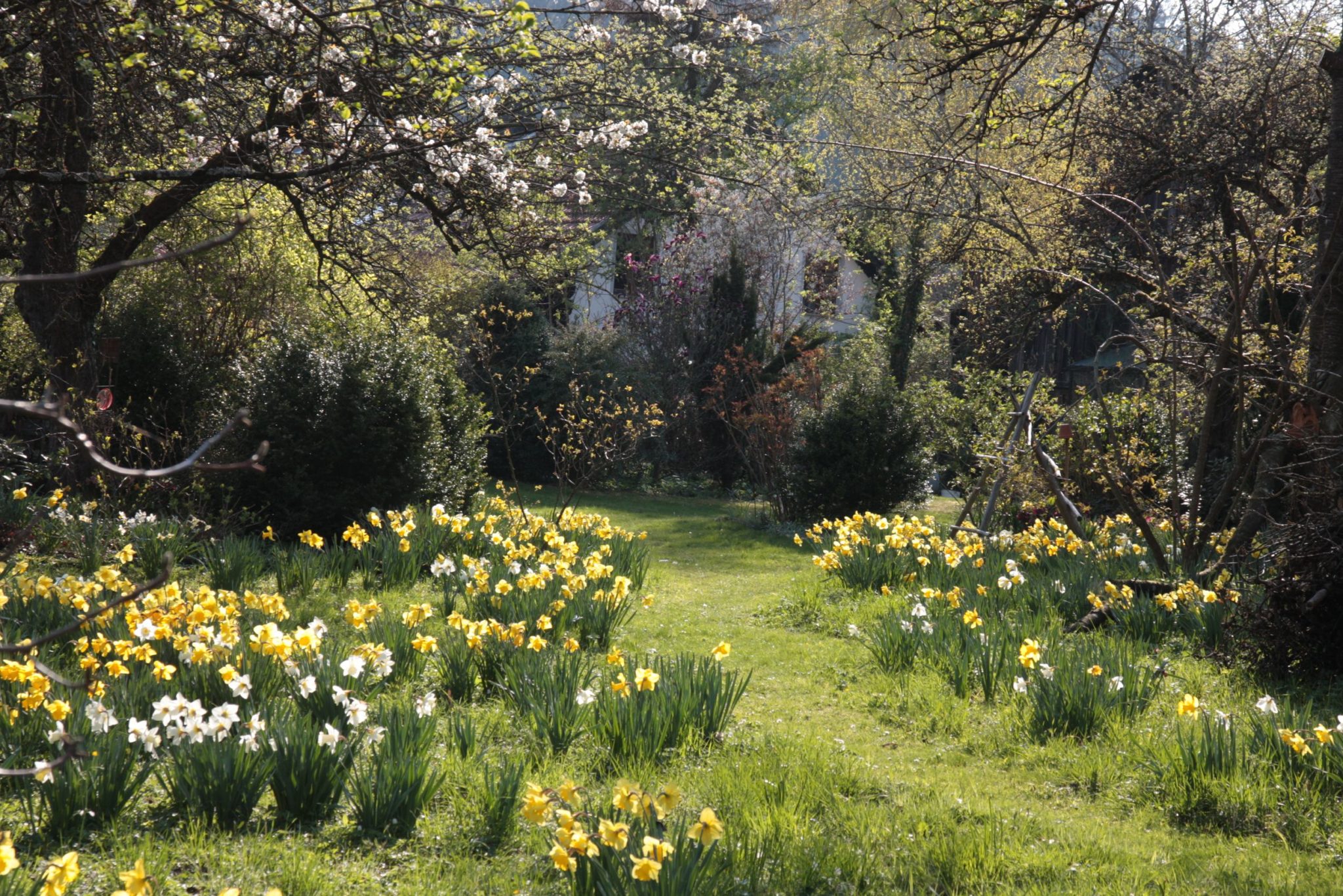 59+ Garten Der Vier Jahreszeiten, Gartenplanung für alle vier