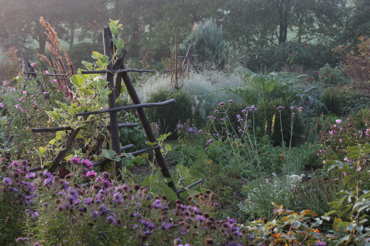 Mein Garten der vier Jahreszeiten Mein Garten der vier Jahreszeiten